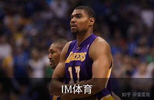 IM体育简介